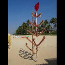 Da sich Weihnachtsschmuck an Palmen nur mit Mühe anbringen ließe